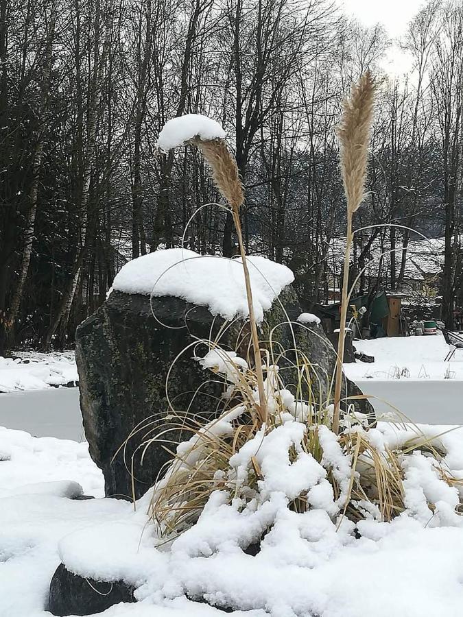 Ferienwohnungen Klimbacher Wolfsberg Exterior foto