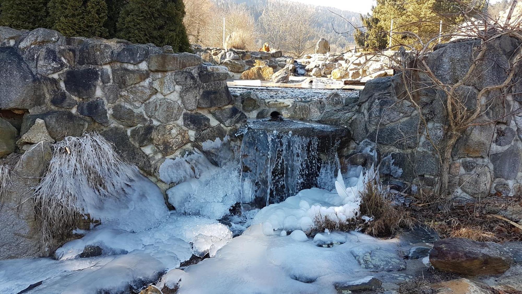 Ferienwohnungen Klimbacher Wolfsberg Exterior foto